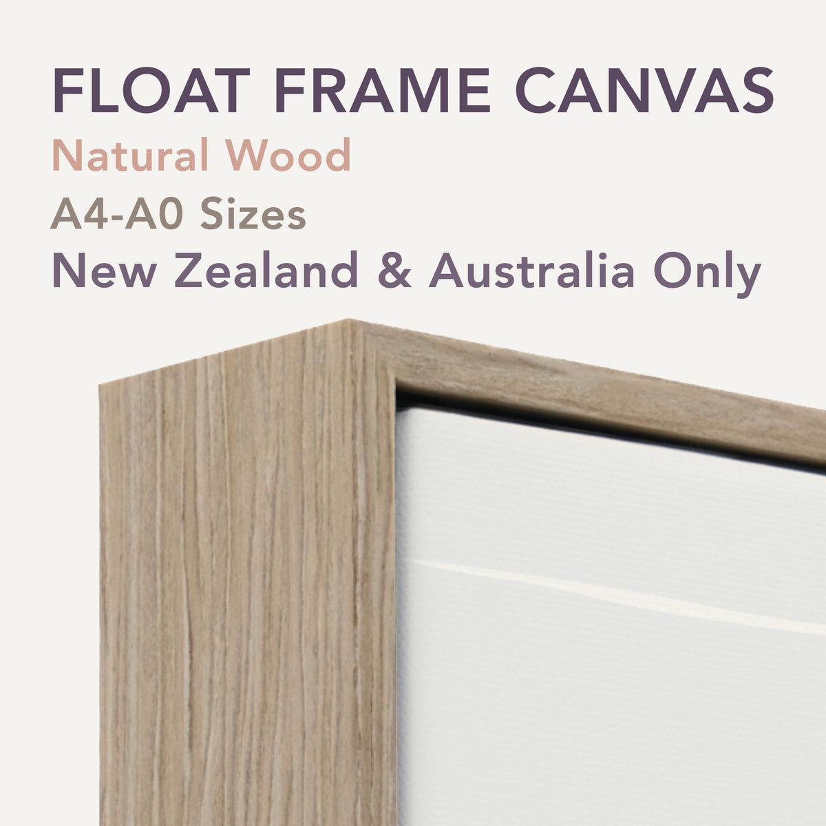 float framed canvas nz art BRIDGET HALL ART