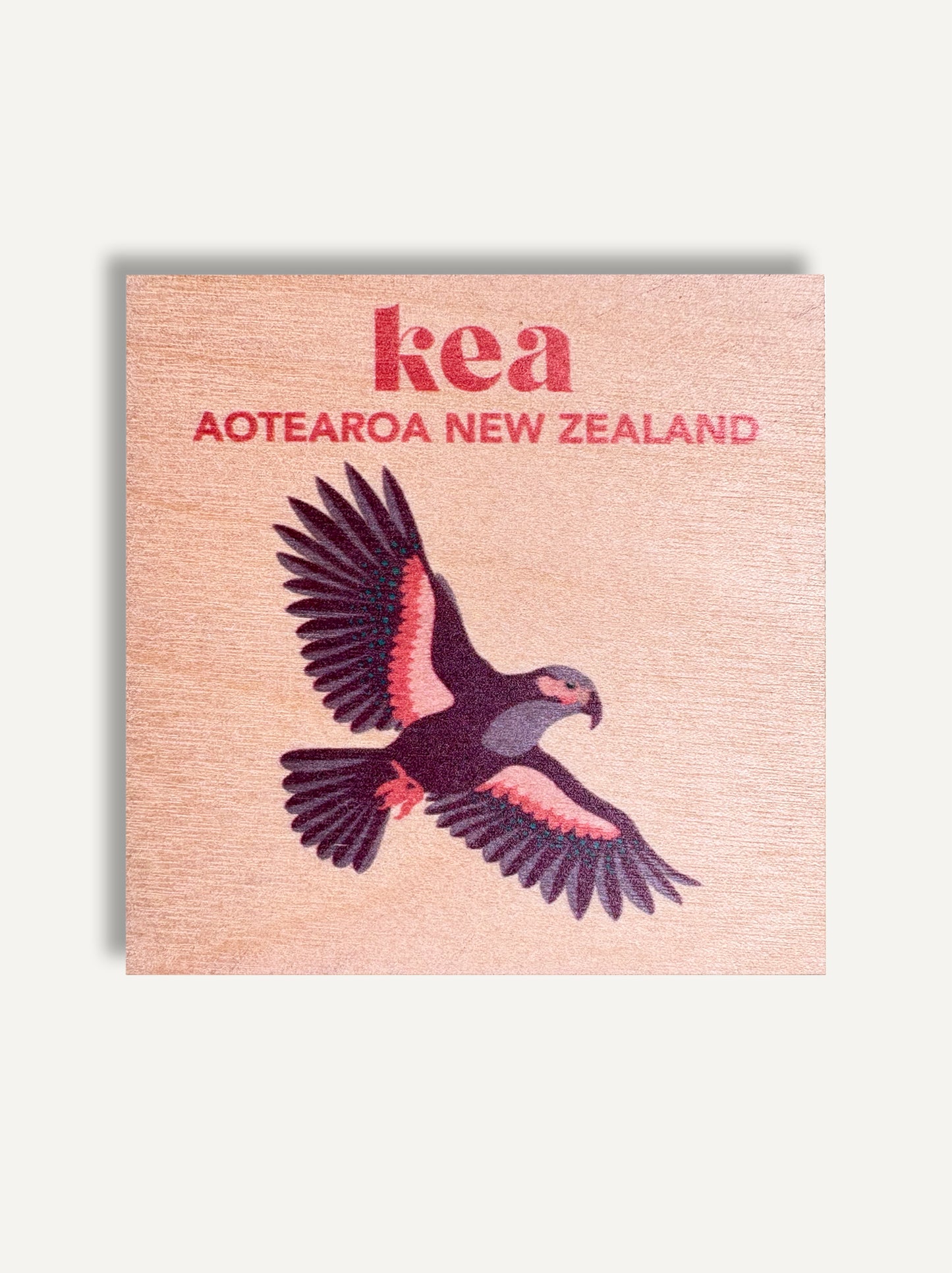kea fridge magnet new zealand