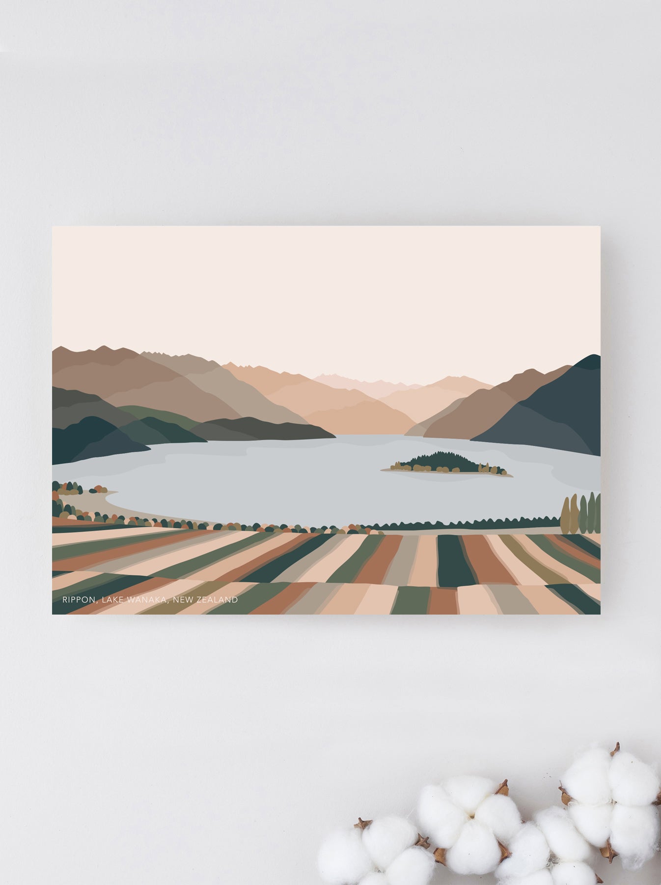 rippon vineyard wanaka